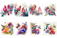 100 Watercolor Bird Illustrations JPG Paintings Kingfisher Product Image 11