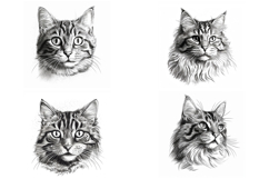 20 Cat Kitten Illustration JPG Drawings Coloring Book Design Product Image 6