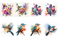 100 Watercolor Bird Illustrations JPG Paintings Kingfisher Product Image 12