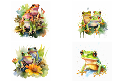 30 Watercolor Frog Illustration Toad Painting Collection JPG Product Image 6