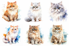 72 Cat Breeds Watercolor Illustration Kitten JPG Collection Product Image 7