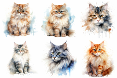 72 Cat Breeds Watercolor Illustration Kitten JPG Collection Product Image 8