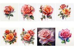 100 Vintage Roses Illustration Wedding Flowers Collection Product Image 11