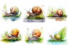 36 Snail Illustration Collection Watercolor JPG Product Image 7
