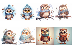 62 Owl Cartoon Illustration Clipart JPG Product Image 8