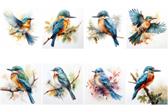 100 Watercolor Bird Illustrations JPG Paintings Kingfisher Product Image 14