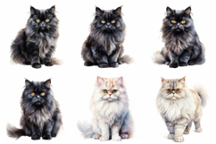 72 Cat Breeds Watercolor Illustration Kitten JPG Collection Product Image 10