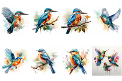 100 Watercolor Bird Illustrations JPG Paintings Kingfisher Product Image 2