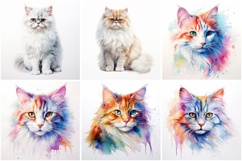 72 Cat Breeds Watercolor Illustration Kitten JPG Collection Product Image 11