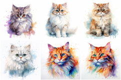 72 Cat Breeds Watercolor Illustration Kitten JPG Collection Product Image 12