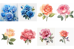 100 Vintage Roses Illustration Wedding Flowers Collection Product Image 2