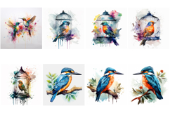 100 Watercolor Bird Illustrations JPG Paintings Kingfisher Product Image 4