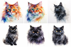 72 Cat Breeds Watercolor Illustration Kitten JPG Collection Product Image 13