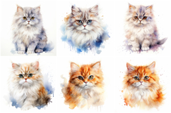 72 Cat Breeds Watercolor Illustration Kitten JPG Collection Product Image 2