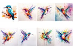100 Watercolor Bird Illustrations JPG Paintings Kingfisher Product Image 5
