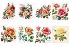 100 Vintage Roses Illustration Wedding Flowers Collection Product Image 5