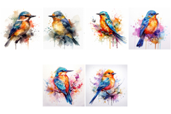100 Watercolor Bird Illustrations JPG Paintings Kingfisher Product Image 7