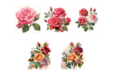 100 Vintage Roses Illustration Wedding Flowers Collection Product Image 14