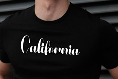 Cookies Coating Product Image 8