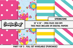 Springtime Digital Papers, spring backgrounds illustrations Product Image 1