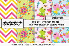 Springtime Digital Papers, spring backgrounds illustrations Product Image 1