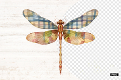 Summer Gingham Dragonfly PNG Product Image 1