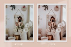 Copper Lightroom Mobile Presets Photoshop LUTs Product Image 2