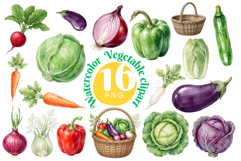 Watercolor Vegetable Clipart Product Image 1