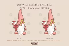 Christmas Gnome Sublimation | Retro Christmas PNG | Gnomies Product Image 2