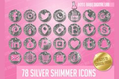 Silver Shimmer Icon Kit Product Image 1