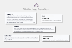 Coquette Christmas Frames Product Image 3