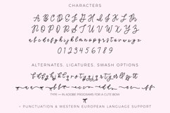 Coquettish Script Product Image 10