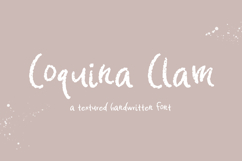 Coquina Clam Font Product Image 1