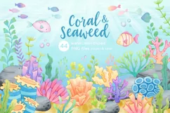 Coral and Seaweed Watercolor Clipart, Underwater Scene PNG Product Image 1