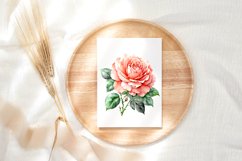 Coral Drift Rose clipart CLIPART FILES Product Image 3