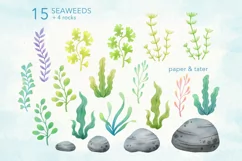 Coral and Seaweed Watercolor Clipart, Underwater Scene PNG Product Image 2