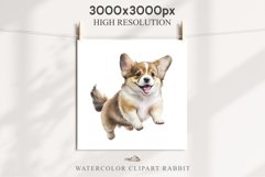 Corgi Cute Puppy Baby Dog in Basket Animals Clipart PNG Watercolor  Transparent Print for invitation t-shirt designs sublimation kids printable digital