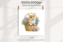 Corgi Cute Puppy Baby Dog in Basket Animals Clipart PNG Watercolor  Transparent Print for invitation t-shirt designs sublimation kids printable digital watercolor Baby dog png, watercolor Corgi puppy clipart, sublimation nursery drawing