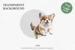 Corgi Cute Puppy Baby Dog in Basket Animals Clipart PNG Watercolor  Transparent Print for invitation t-shirt designs sublimation kids printable digital