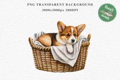 Corgi Cute Puppy Baby Dog in Basket Animals Clipart PNG Watercolor  Transparent Print for invitation t-shirt designs sublimation kids printable digital watercolor Baby dog png, watercolor Corgi puppy clipart, sublimation nursery drawing