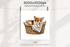 Corgi Cute Puppy Baby Dog in Basket Animals Clipart PNG Watercolor  Transparent Print for invitation t-shirt designs sublimation kids printable digital watercolor Baby dog png, watercolor Corgi puppy clipart, sublimation nursery drawing