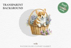 Corgi Cute Puppy Baby Dog in Basket Animals Clipart PNG Watercolor  Transparent Print for invitation t-shirt designs sublimation kids printable digital watercolor Baby dog png, watercolor Corgi puppy clipart, sublimation nursery drawing