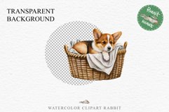Corgi Cute Puppy Baby Dog in Basket Animals Clipart PNG Watercolor  Transparent Print for invitation t-shirt designs sublimation kids printable digital watercolor Baby dog png, watercolor Corgi puppy clipart, sublimation nursery drawing