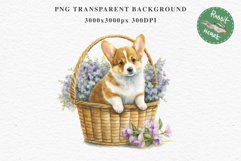 Corgi Cute Puppy Baby Dog in Basket Animals Clipart PNG Watercolor  Transparent Print for invitation t-shirt designs sublimation kids printable digital watercolor Baby dog png, watercolor Corgi puppy clipart, sublimation nursery drawing