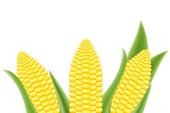 set of icons fresh vegetables vector illustration Product Image 4