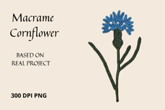 Macrame Cornflower PNG Botanical Clipart Product Image 1