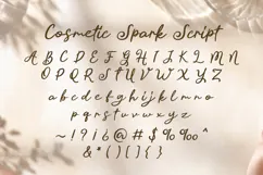Cosmetic Spark - Luxury Beauty Font Duo Product Image 9