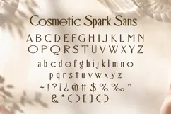 Cosmetic Spark - Luxury Beauty Font Duo | Web Font Product Image 8
