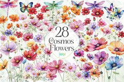 Cosmos Flowers Sublimation Clipart Product Image 1