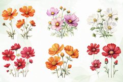 Cosmos Flowers Sublimation Clipart Product Image 5